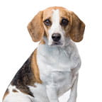 Bild von Cleo