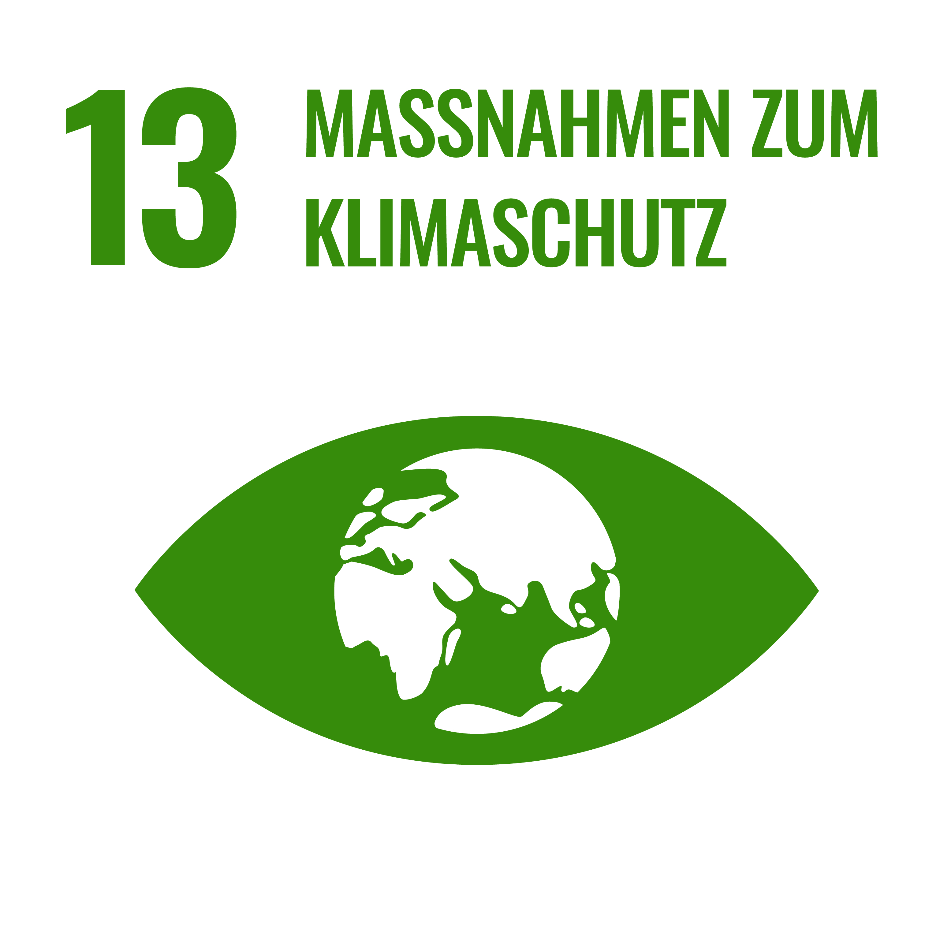 13 Maßnahmen zum Klimaschutz